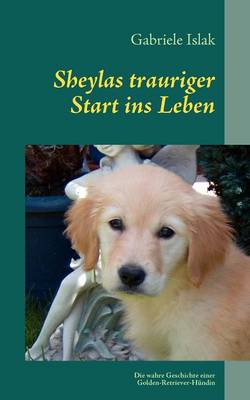 Sheylas Trauriger Start Ins Leben (Paperback)