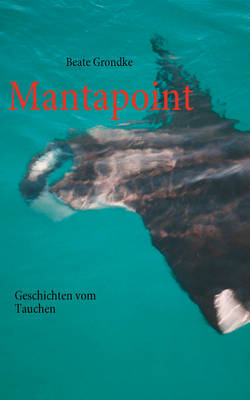 Mantapoint (Paperback)