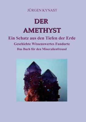 Der Amethyst (Paperback)