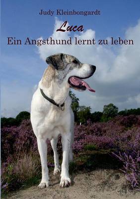 Luca (Paperback)