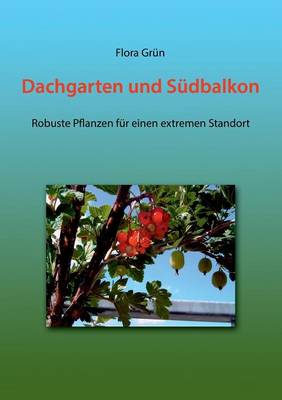 Dachgarten Und Sudbalkon (Paperback)