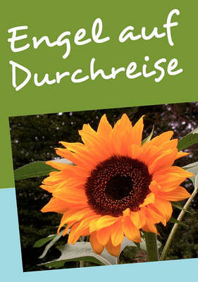 Engel Auf Durchreise (Paperback)