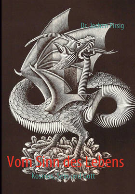 Vom Sinn Des Lebens (Paperback)