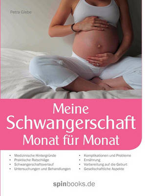 Meine Schwangerschaft (Paperback)