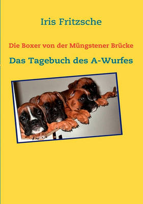 Die Boxer Von Der Mngstener Brcke (Paperback)