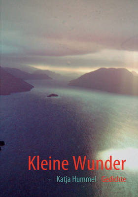 Kleine Wunder (Paperback)