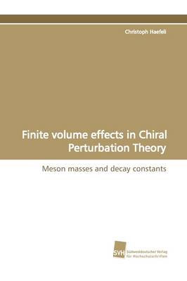 Finite Volume Effects in Chiral Perturbation Theory (Paperback)