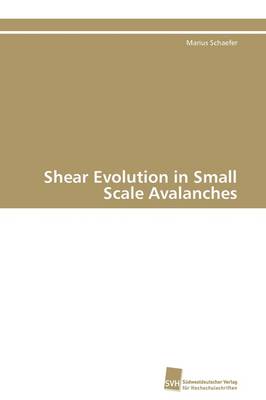 Shear Evolution in Small Scale Avalanches (Paperback)