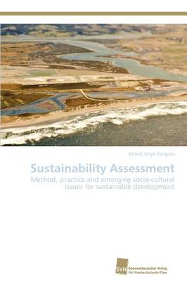 Sustainability Assessment (Paperback)