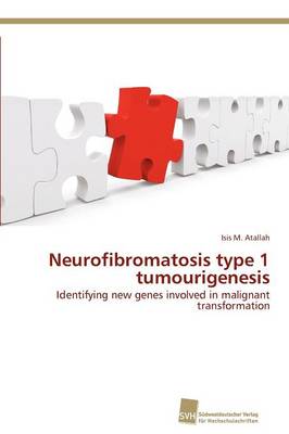 Neurofibromatosis Type 1 Tumourigenesis (Paperback)
