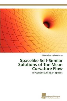 Spacelike Self-Similar Solutions of the Mean Curvature Flow (Paperback)