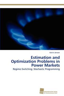 Estimation and Optimization Problems in Power Markets (Paperback)