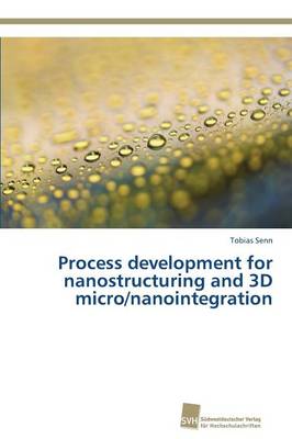 Process Development for Nanostructuring and 3D Micro/Nanointegration (Paperback)