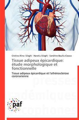 Tissue Adipeux �picardique: �tude Morphologique Et Fonctionnelle - Omn.Pres.Franc. (Paperback)