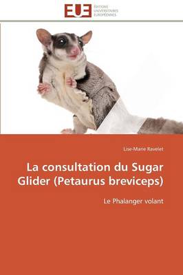 La Consultation Du Sugar Glider (Petaurus Breviceps) - Omn.Univ.Europ. (Paperback)