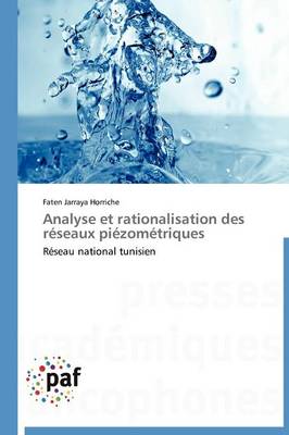 Analyse Et Rationalisation Des R�seaux Pi�zom�triques - Omn.Pres.Franc. (Paperback)