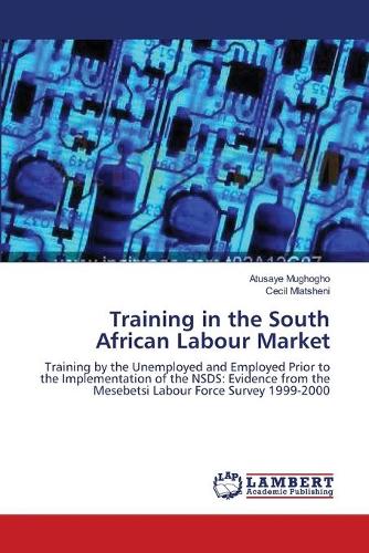 Training in the South African Labour Market (Paperback)