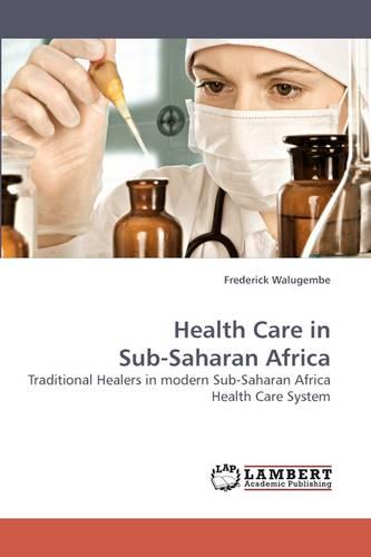 Health Care in Sub-Saharan Africa (Paperback)