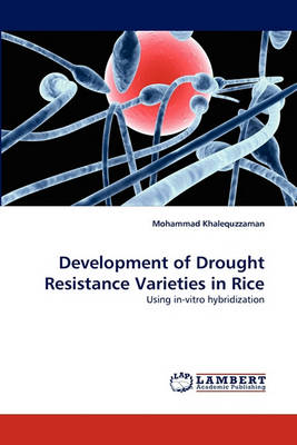 Development of Drought Resistance Varieties in Rice (Paperback)
