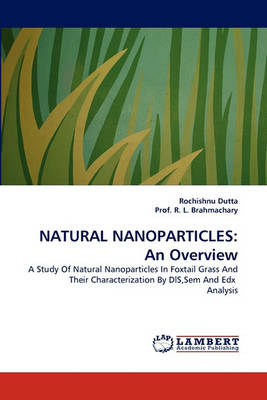 Natural Nanoparticles: An Overview (Paperback)