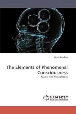 The Elements of Phenomenal Consciousness (Paperback)