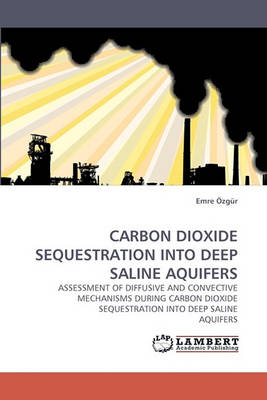 Carbon Dioxide Sequestration Into Deep Saline Aquifers (Paperback)