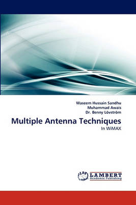 Multiple Antenna Techniques (Paperback)