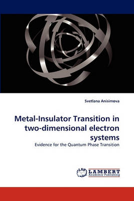 Metal-Insulator Transition in Two-Dimensional Electron Systems (Paperback)