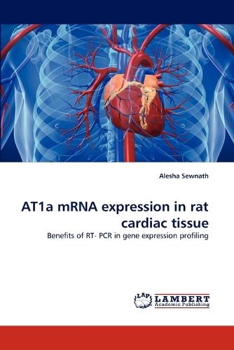 At1a Mrna Expression in Rat Cardiac Tissue (Paperback)