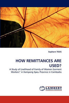 How Remittances Are Used? (Paperback)