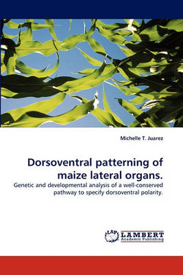 Dorsoventral Patterning of Maize Lateral Organs. (Paperback)