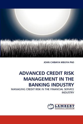 Advanced Credit Risk Management in the Banking Industry (Paperback)