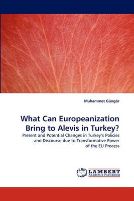 What Can Europeanization Bring to Alevis in Turkey? (Paperback)