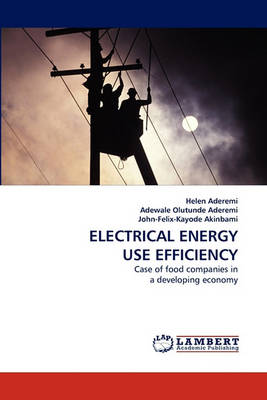 Electrical Energy Use Efficiency (Paperback)