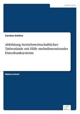 Abbildung Betriebswirtschaftlicher Tatbestande Mit Hilfe Mehrdimensionaler Datenbanksysteme (Paperback)