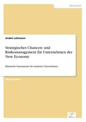 Strategisches Chancen- Und Risikomanagement Fur Unternehmen Der New Economy (Paperback)