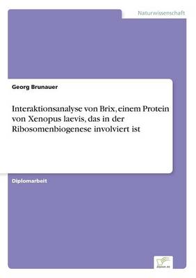 Interaktionsanalyse Von Brix, Einem Protein Von Xenopus Laevis, Das in Der Ribosomenbiogenese Involviert Ist (Paperback)