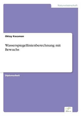 Wasserspiegellinienberechnung Mit Bewuchs (Paperback)