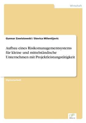 Aufbau Eines Risikomanagementsystems Fur Kleine Und Mittelstandische Unternehmen Mit Projektleistungstatigkeit (Paperback)