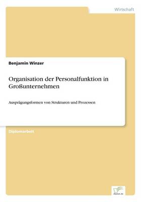 Organisation Der Personalfunktion in Gro unternehmen (Paperback)