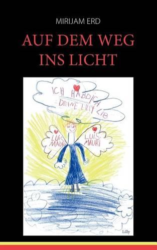 Auf Dem Weg Ins Licht (Paperback)