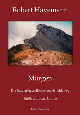 Morgen (Paperback)