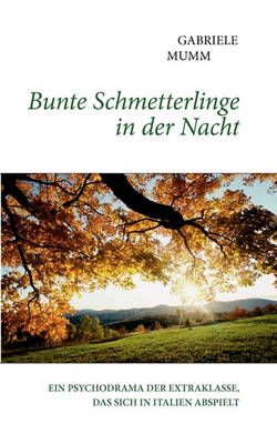 Bunte Schmetterlinge in Der Nacht (Paperback)