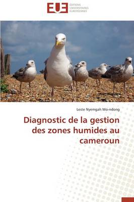 Diagnostic de la Gestion Des Zones Humides Au Cameroun - Omn.Univ.Europ. (Paperback)