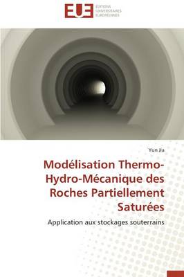 Mod�lisation Thermo-Hydro-M�canique Des Roches Partiellement Satur�es - Omn.Univ.Europ. (Paperback)