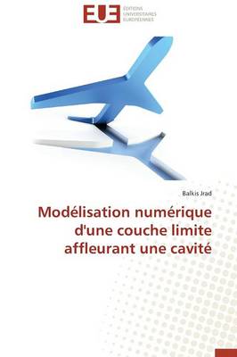 Mod�lisation Num�rique d'Une Couche Limite Affleurant Une Cavit� - Omn.Univ.Europ. (Paperback)