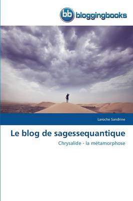 Le Blog de Sagessequantique - Omn.Bloggingboo (Paperback)