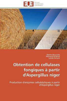 Obtention de Cellulases Fongiques Partir d'Aspergillus Niger - Omn.Univ.Europ. (Paperback)