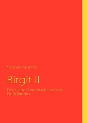 Birgit II: Der kleine Sonnenschein eines Findelkindes (Paperback)