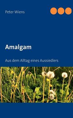 Amalgam: Aus dem Alltag eines Aussiedlers (Paperback)